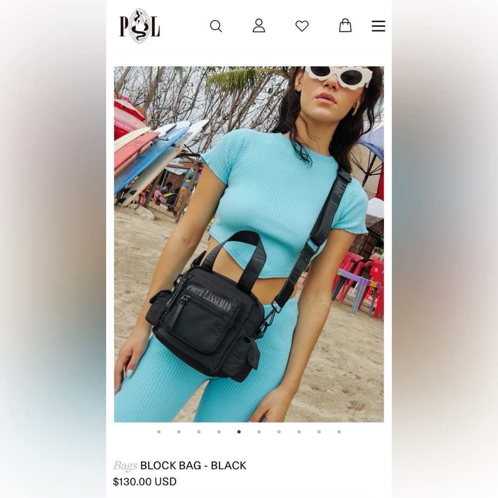 POPPY LISSIMAN BLACK BLOCK BAG. 

Currently on their website new for $130.